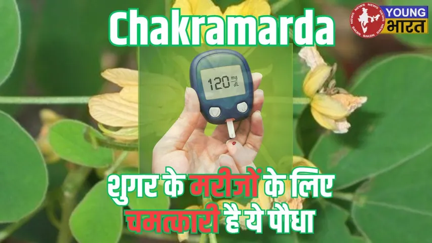Chakramarda