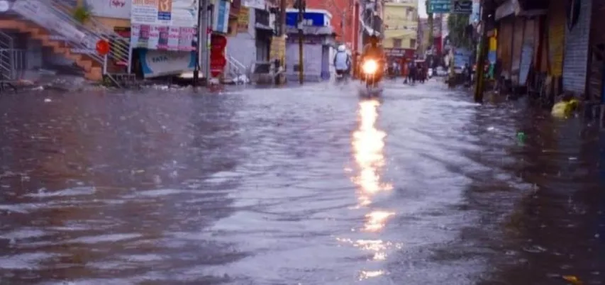 वाईवीएन