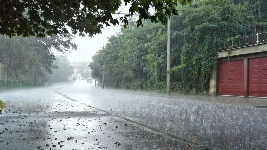 barish (2)