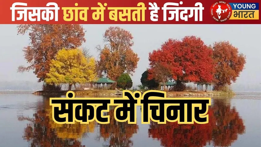 shrinagar