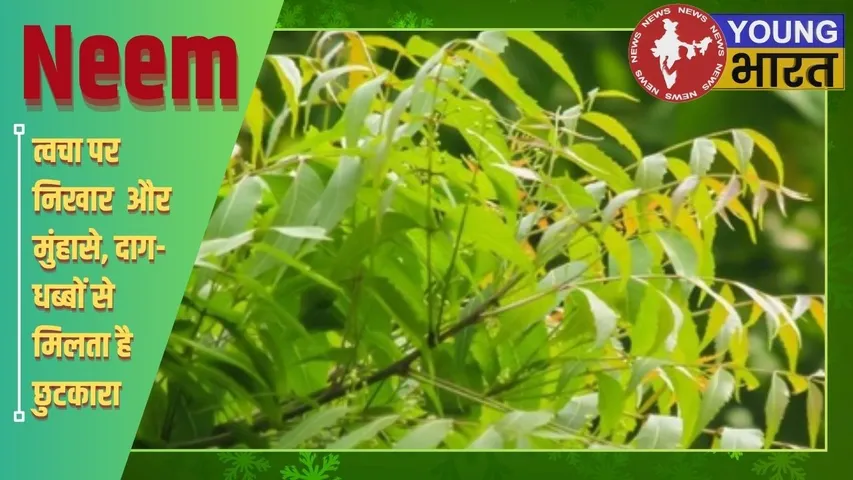 Neem Banefites