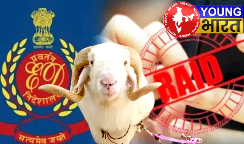 तेलंगाना में भेड़ वितरण घोटाला : क्या 1000 करोड़ का है ये बड़ा खेल? | यंग भारत न्यूज
