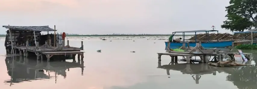 वाईवीएन