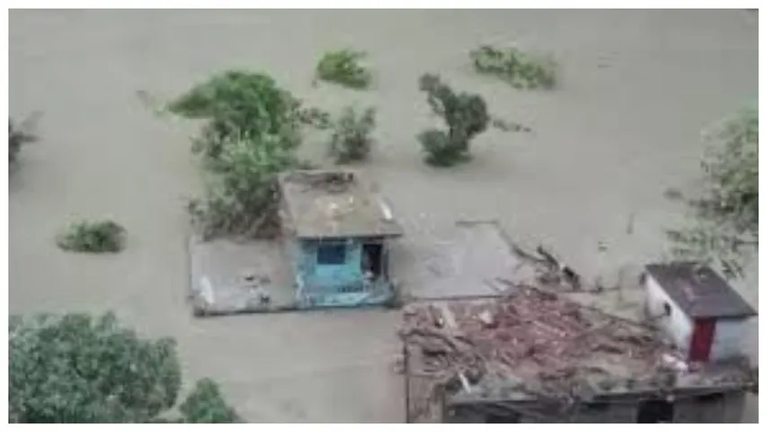 BeFunky-collage (38)