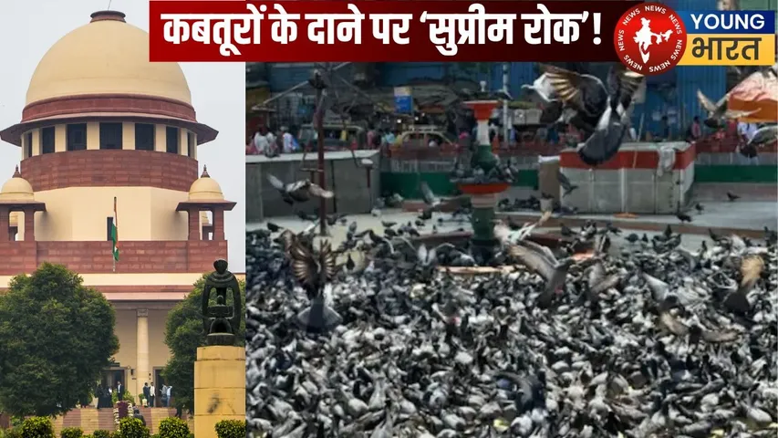 Supreme Court Decision