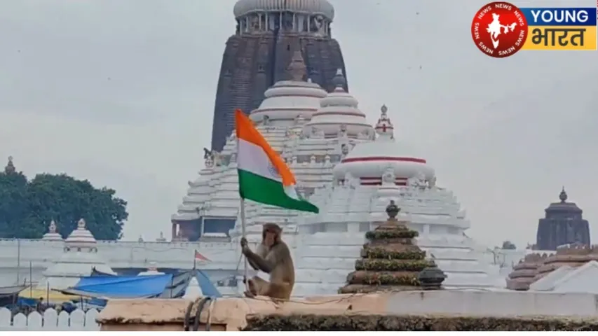 monkey hold tiranga in jagannath puri
