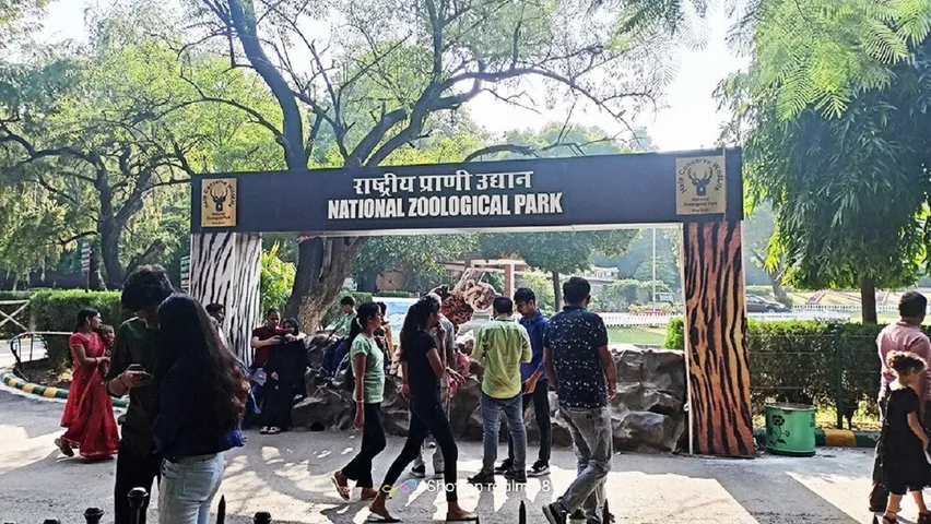 Delhi Zoo