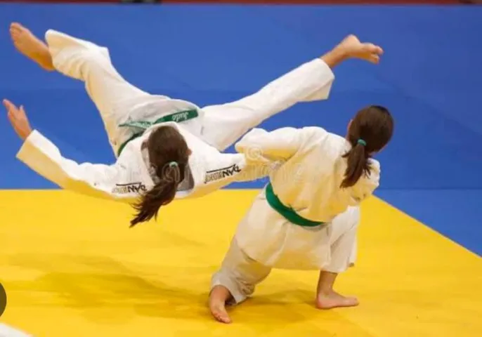 वाईबीएन