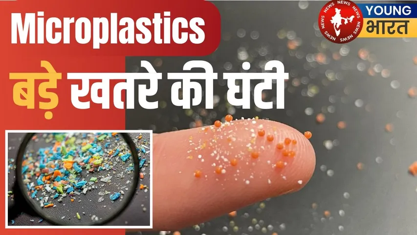 Microplastics health risk