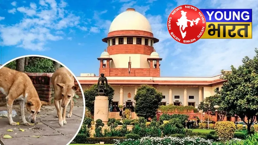 डॉग लवर्स नोट कर लें सुप्रीम कोर्ट की ये 7 बातें, कहीं गायब न हो जाए स्माइल! | यंग भारत न्यूज