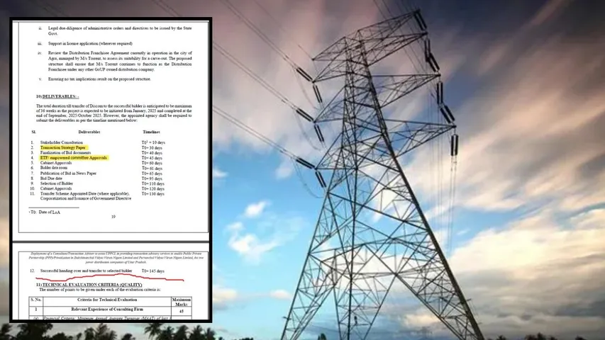 electricity privatisation