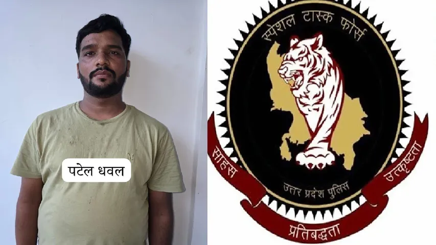 पटेल धवल