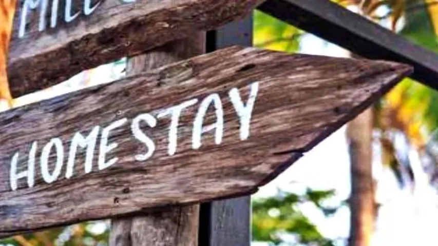 वाईबीएन