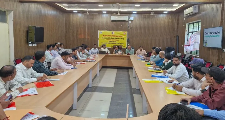 वाईबीएन