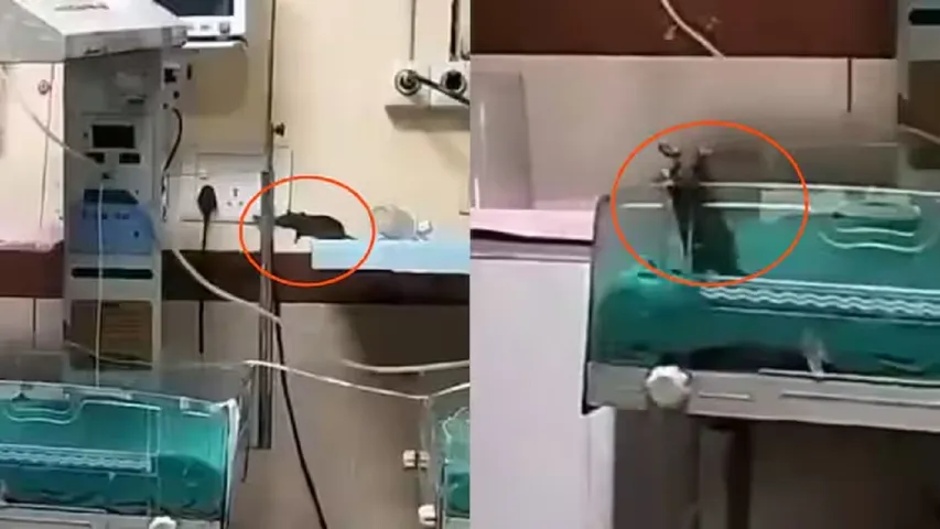 Indore hospital।
