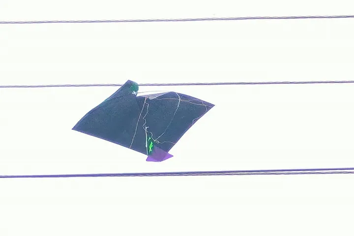 WhatsApp Image 2025-09-20 at 5.26.00 PM