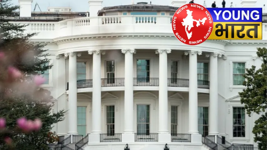 कहां गए 40000 अमेरिकी प्रोफेशनल्स? White House का बड़ा खुलासा | यंग भारत न्यूज