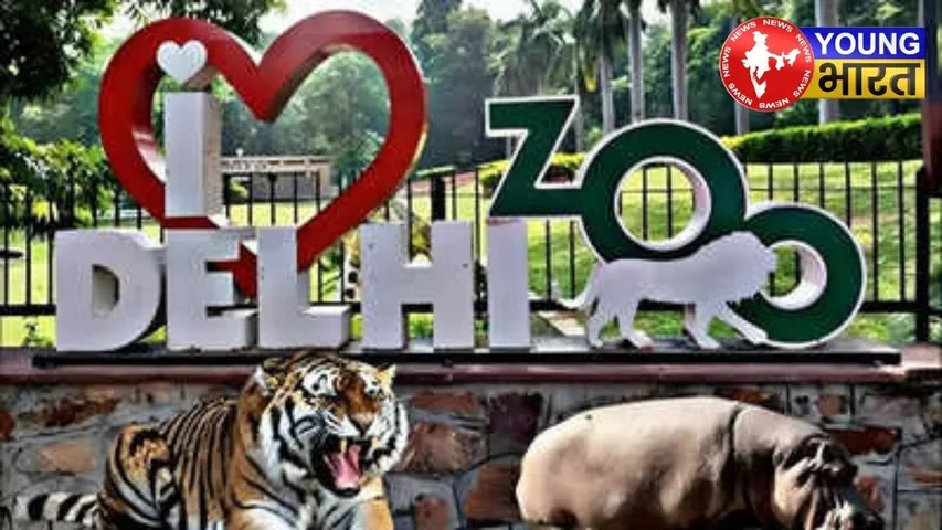Delhi Zoo