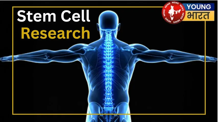 Stem cell research