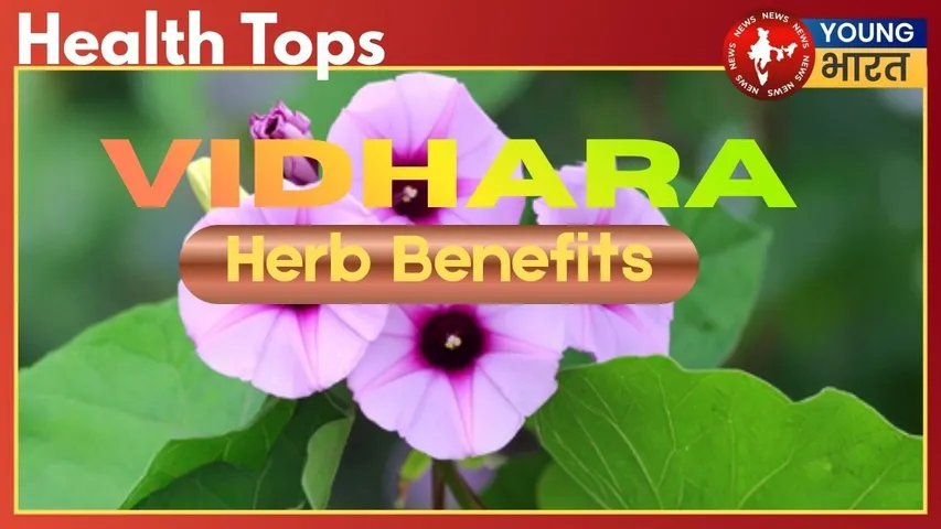 Vidhara  Herbs