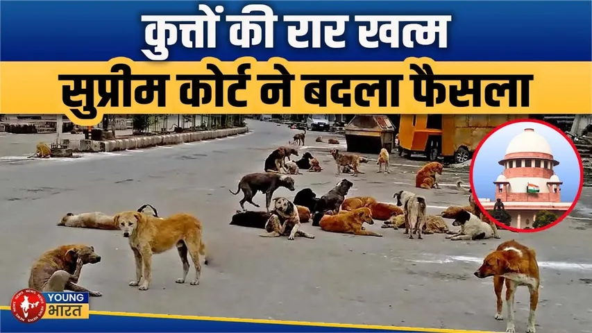 Stray Dogs | Supreme Court ने कहा - नसबंदी के बाद अपनी जगह पर रहेंगे कुत्ते | Youngbharat News