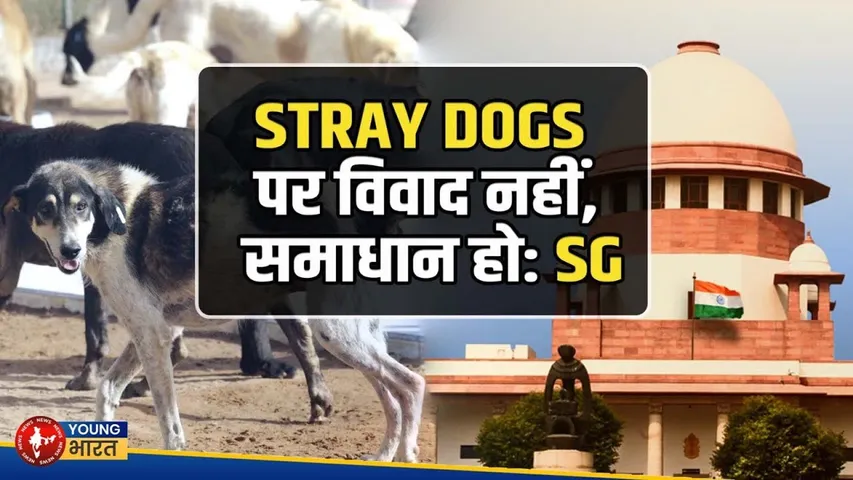 STRAY DOGS पर Supreme Court ने सुरक्षित रखा फैसला | विवाद नहीं, समाधान चाहिए | Young Bharat News