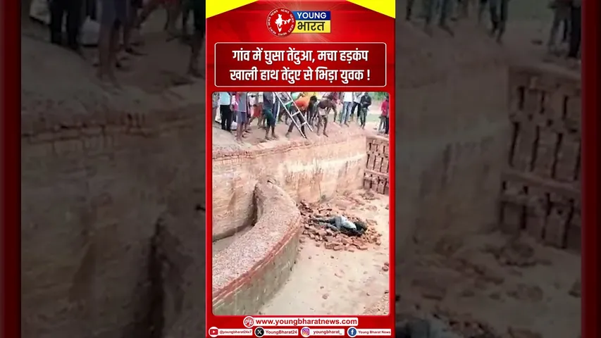 गांव में घुसा तेंदुआ, मचा हड़कंप खाली हाथ तेंदुए से भिड़ा युवक !
