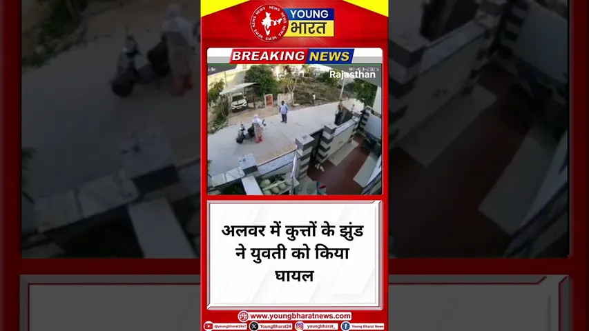 अलवर में कुत्तों के झुंड ने युवती को किया घायल |Rajasthan | YOUNG Bharat News