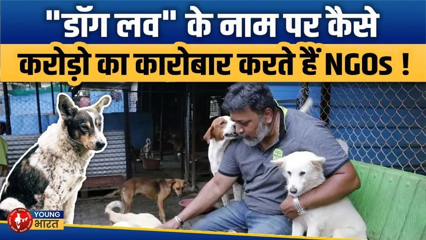 डॉग लव