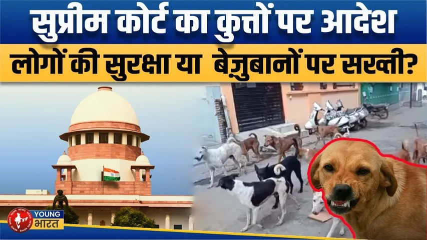 Newsroom : कुत्तों पर Supreme आदेश, लोगों की सुरक्षा या  बेज़ुबानों पर सख्ती? | YOUNG Bharat News