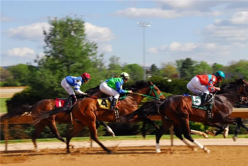 2025 Eddie Read Stakes Preview