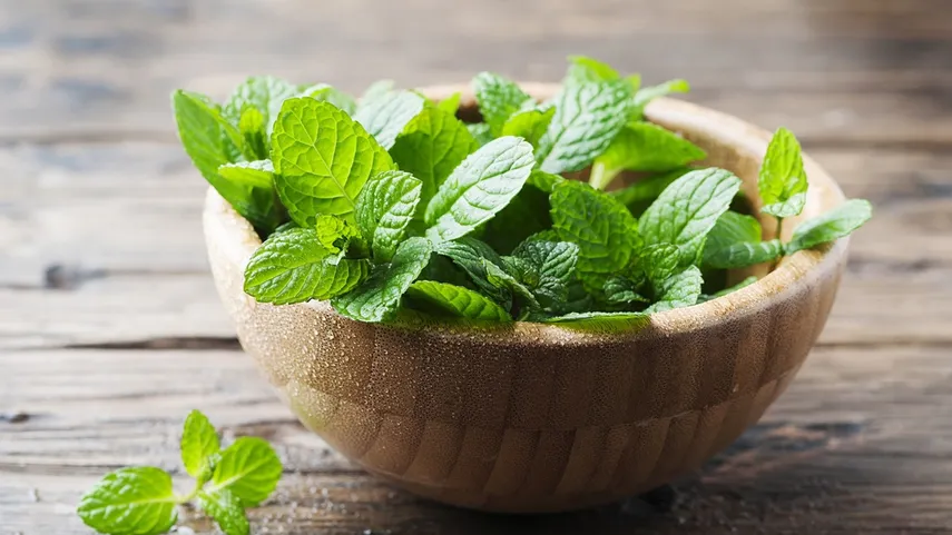 indianskincare