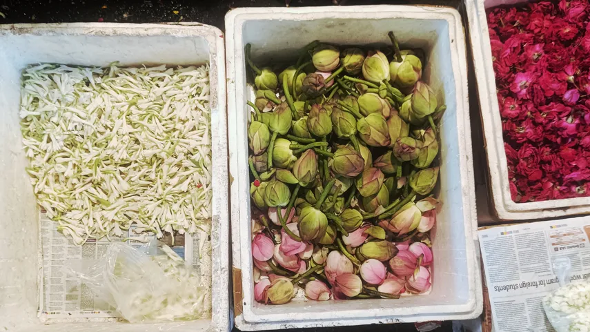 climatechangeandfestivals