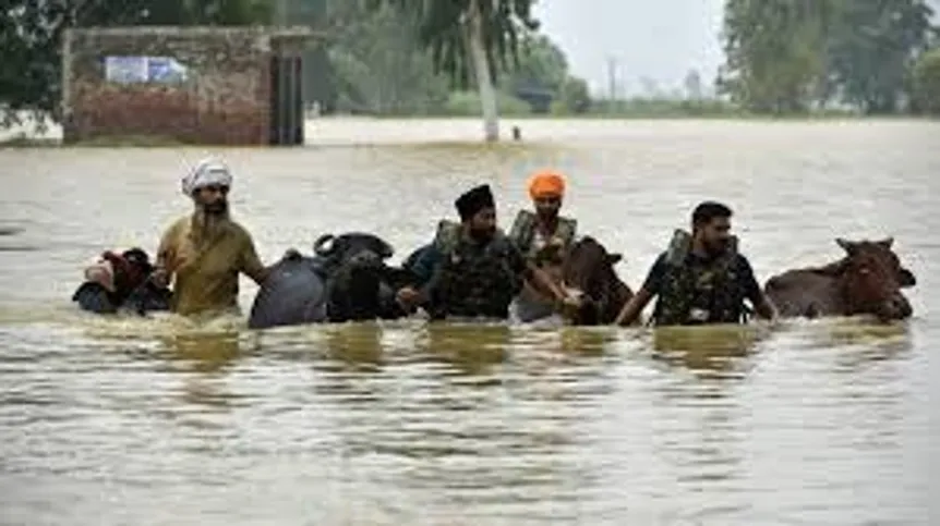 punjab and Flood