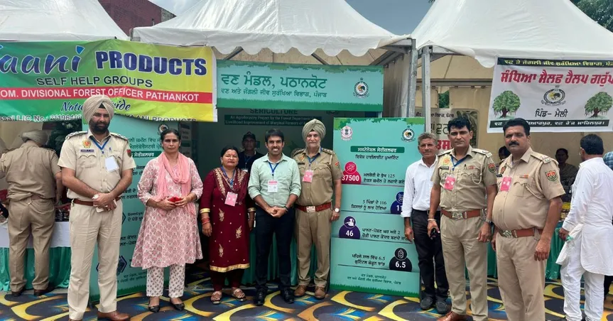 sericulture pathankot (1)