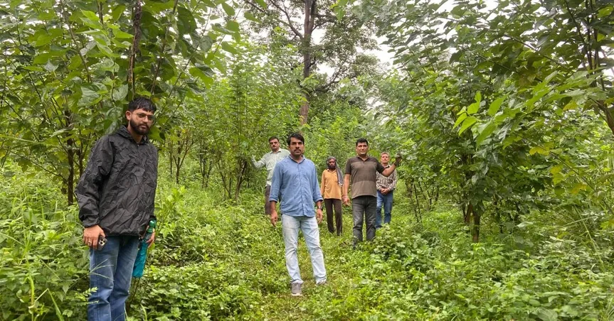 sericulture pathankot