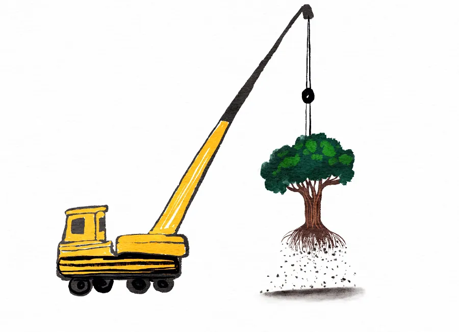 Environment Day Feature