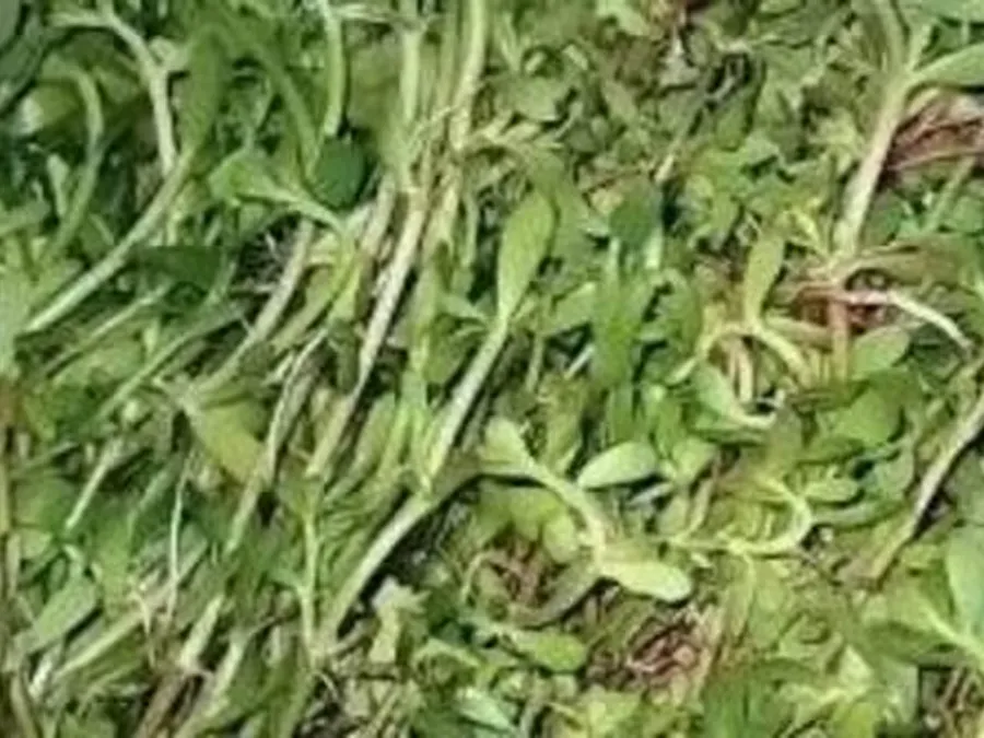 বাতের ব্যথা থেকে গ্যাসট্রিক সমস্যা