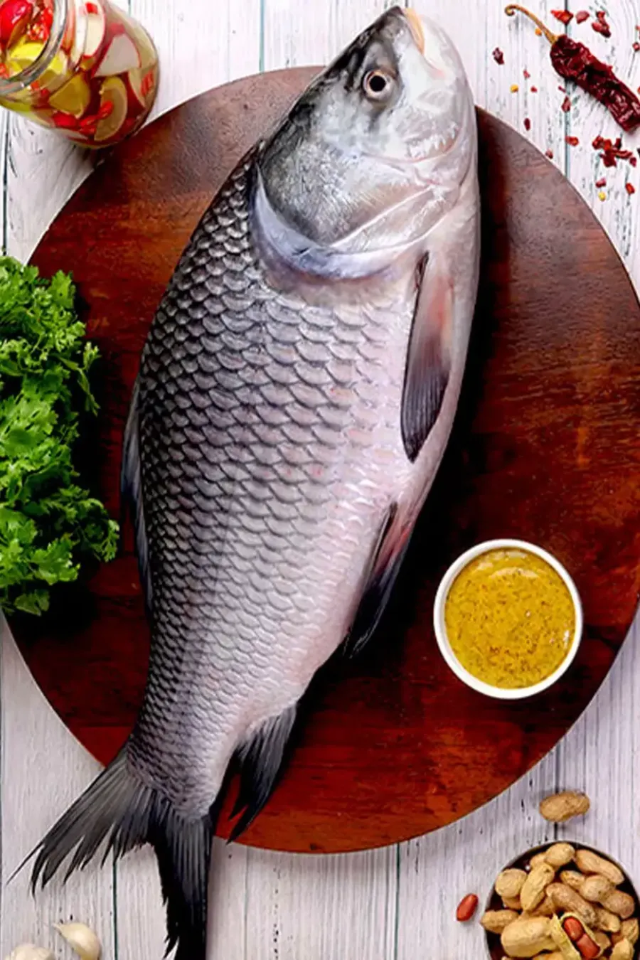 Taja-Fish-ezgif.com-rotate