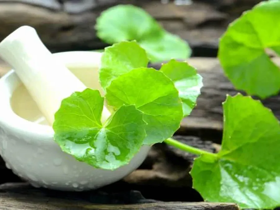 ক্যানসারের বিরুদ্ধে লড়তে শক্তি বাড়াতে