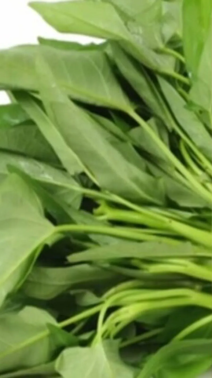 nari palak