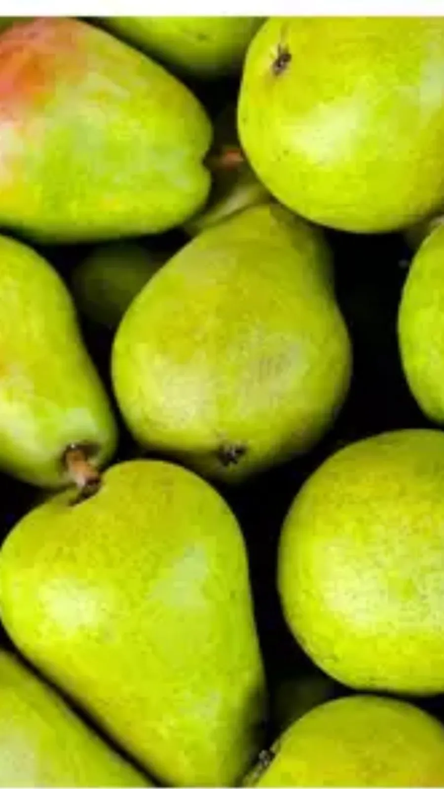 pear1