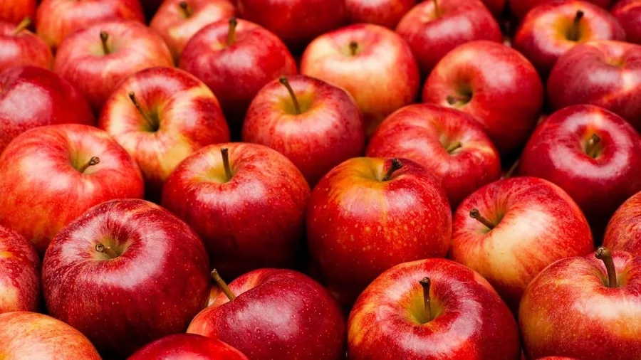 apple eat