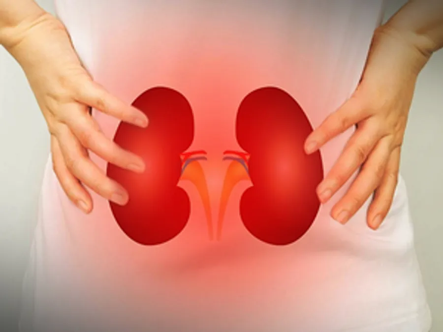 Liquid biopsy could prevent kidney transplant rejections, new study shows (Representational photo)