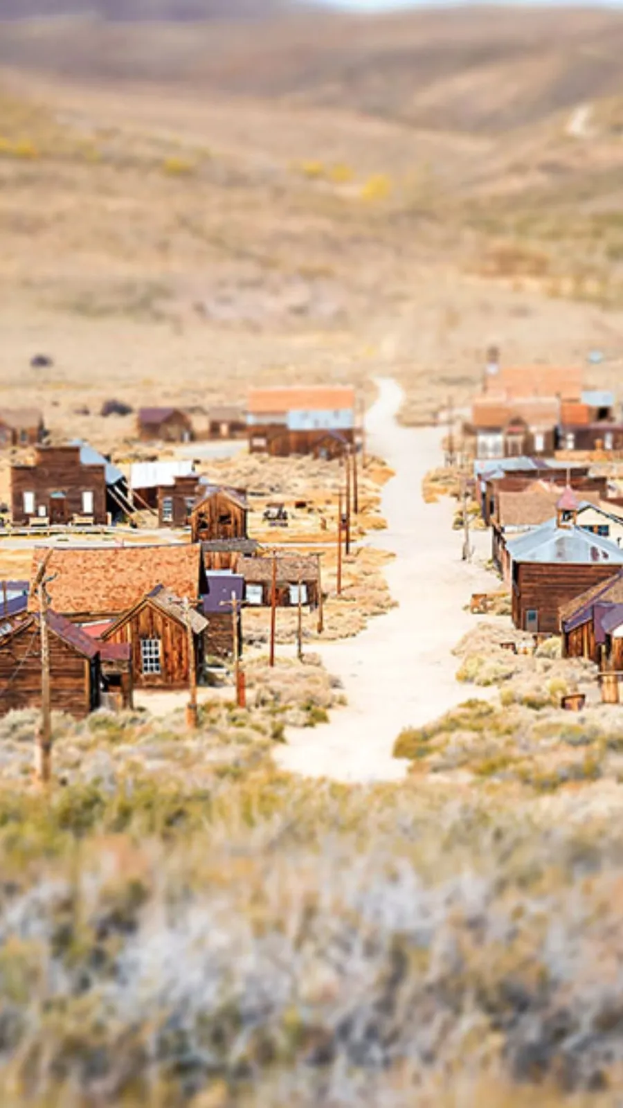 <p>A chilling glimpse into the gold rush era. This ghost town, once a booming mining community, was deserted in the early 1900s.</p>