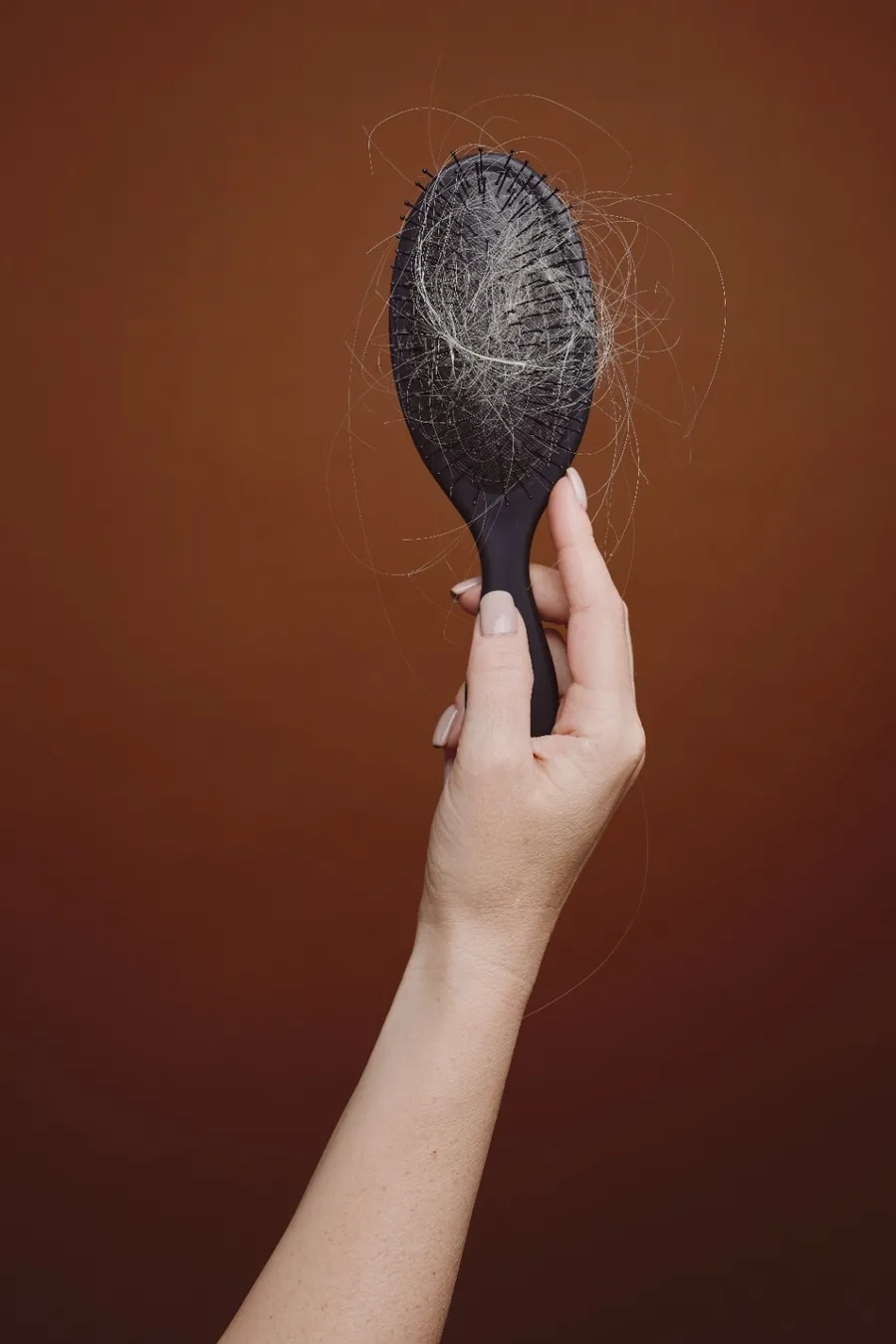 female-hand-holding-hairbrush-2023-11-27-04-54-11-utc (1)