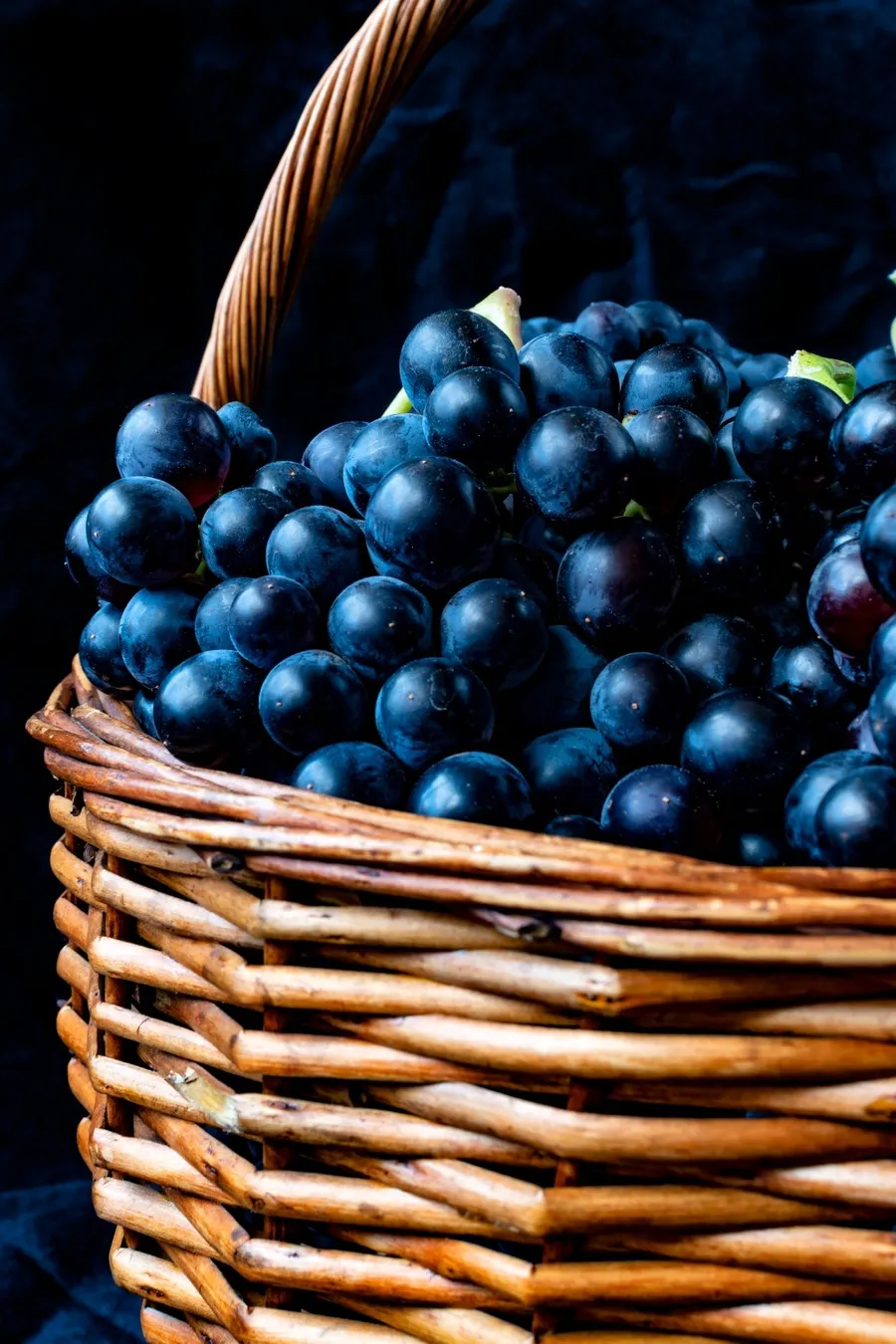 wicker-basket-full-of-tempranillo-grapes-2023-11-27-05-33-41-utc (1)