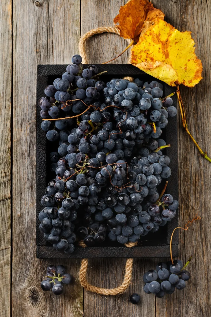 Grapes
