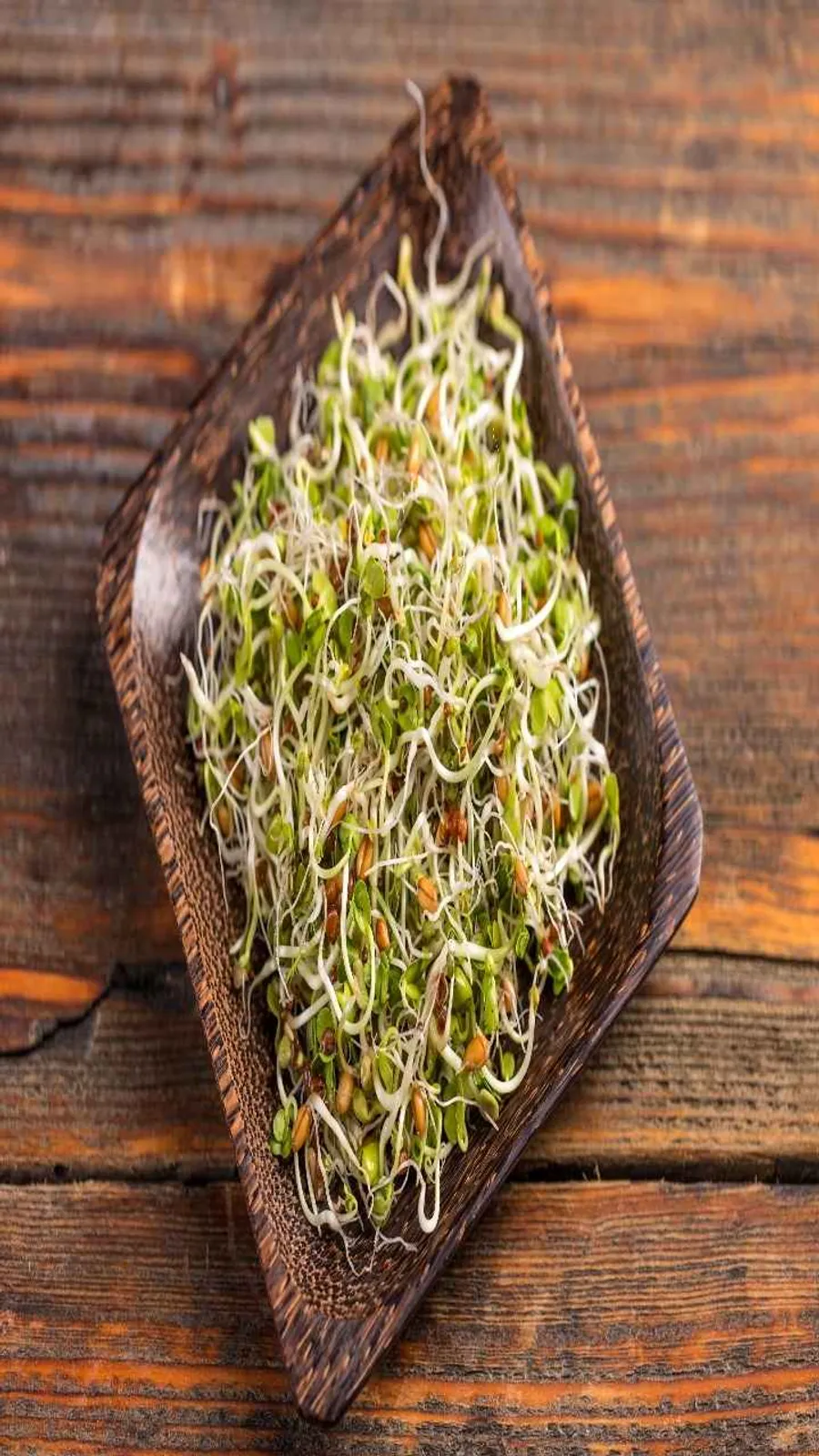Sprouts