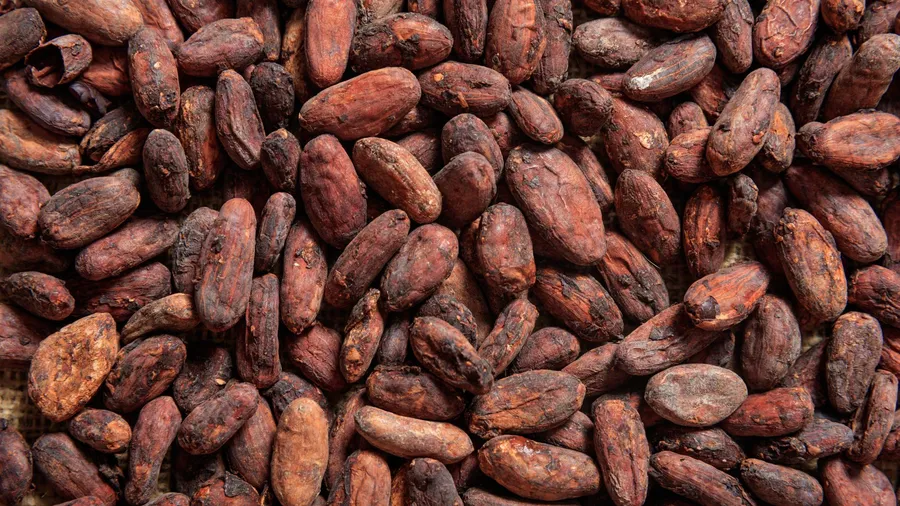 Cocoa prices have been steadily increasing due to climate change